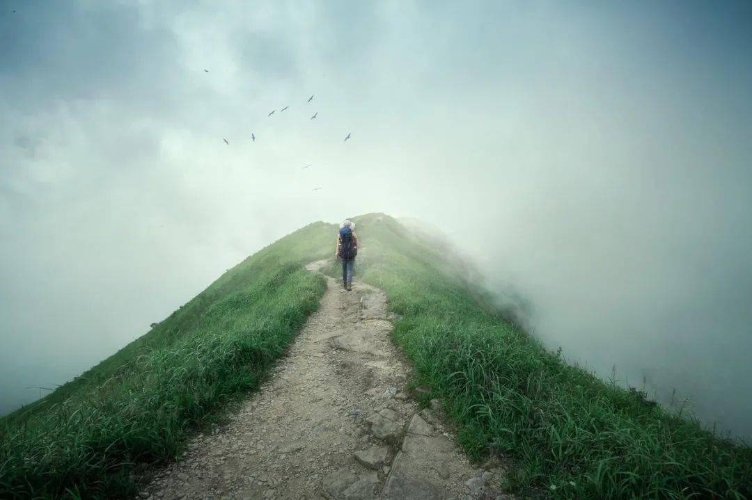 读懂王小波《沉默的大多数》,你就读懂了中年人的无奈