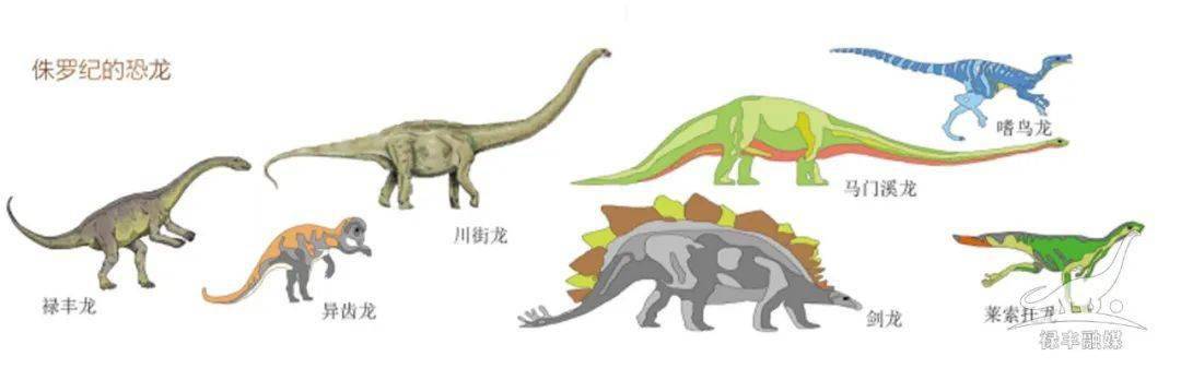 科普云南 | 一起探索禄丰恐龙的前世今生!