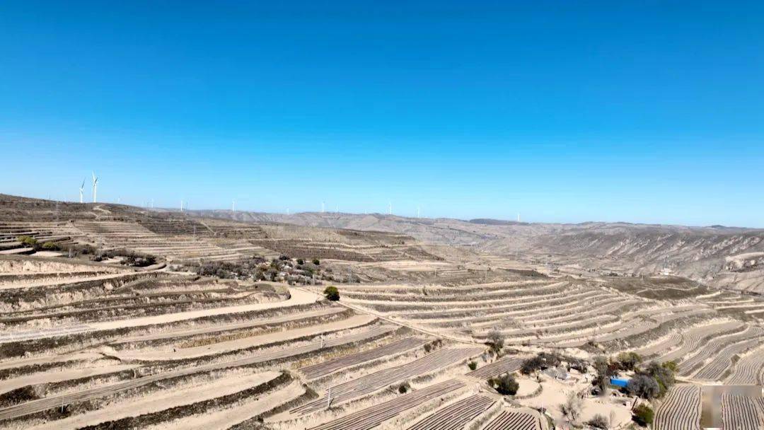 宁远镇:抢抓墒情 覆膜正酣_工作_地膜_视频