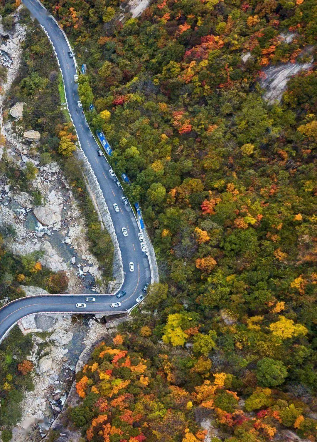 安泽黄花岭风景区攻略图片