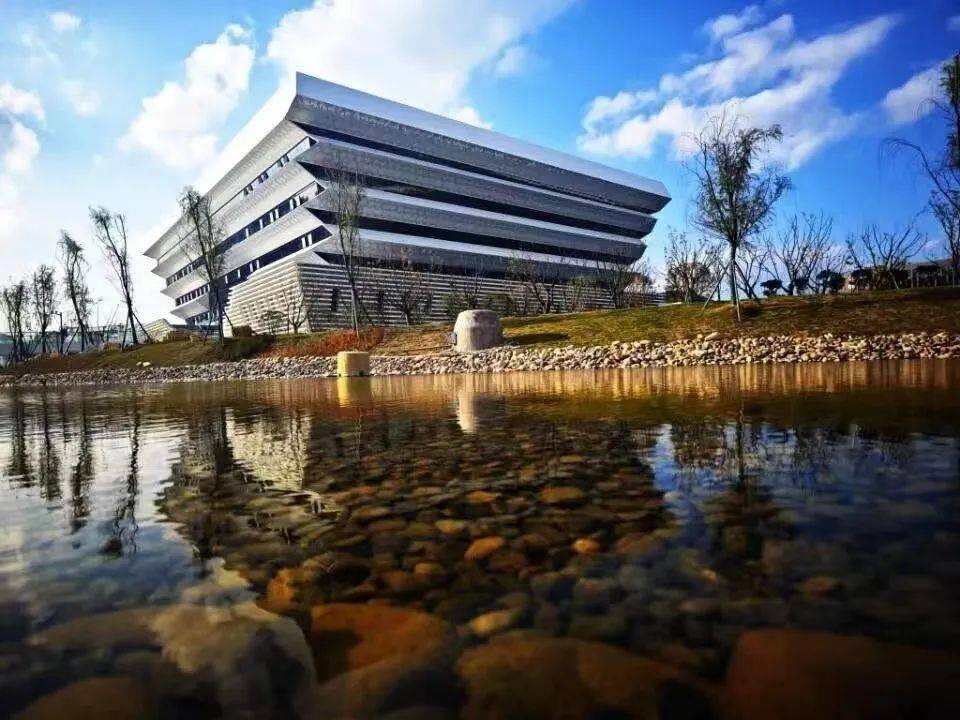 捕捉贵州高校最后一抹秋色_校园_落叶_色彩