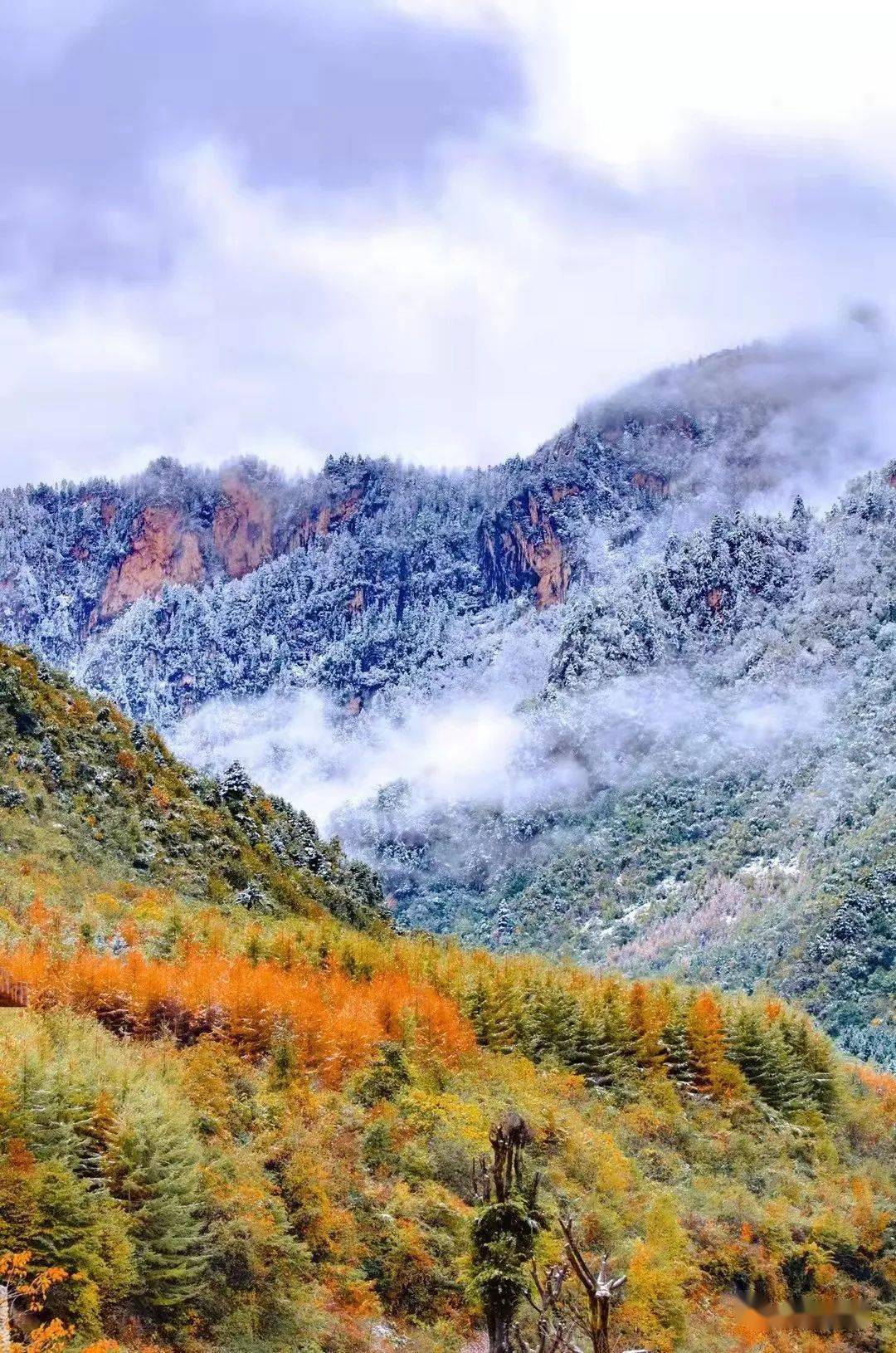 官鹅沟:这一抹浅冬色彩,值得珍藏!_旅游_甘肃_文化