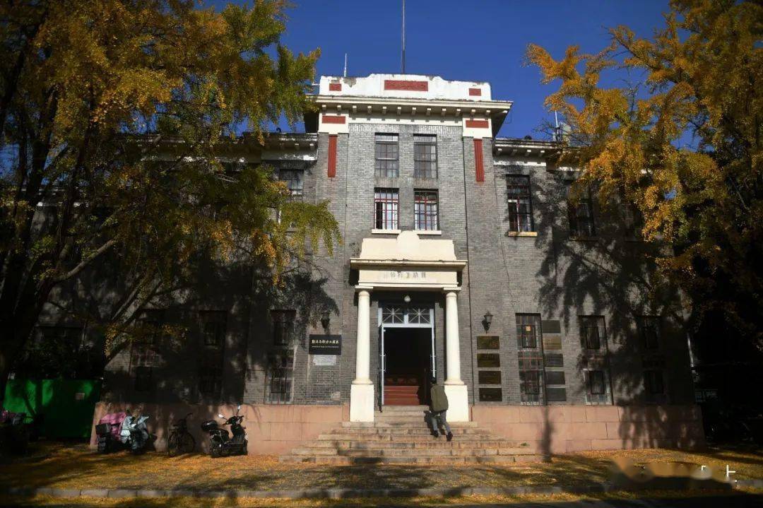 11.08:抓住秋天的尾巴,跟张姐一起探访清华园的银杏_地方_树林_荷塘