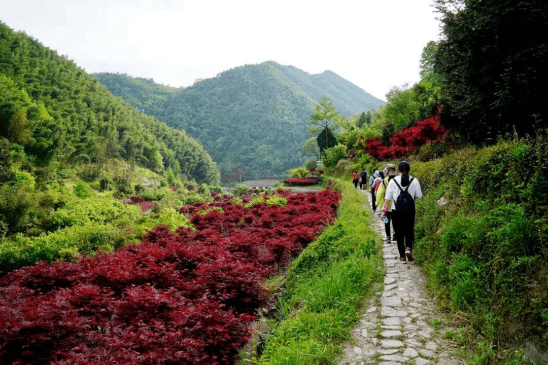 天平山/栖霞坑古道/九溪十八涧等你来觅秋色_亮点_班期_坐标