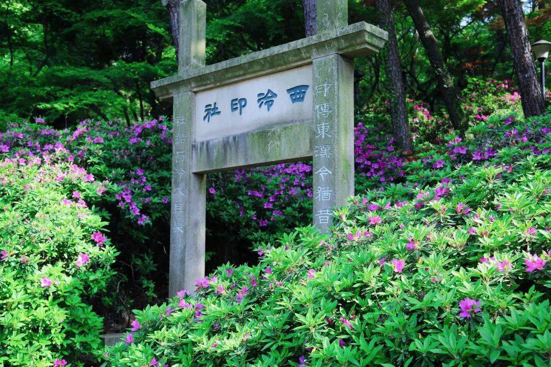 杭州discovery·西湖 ⑦ | 西泠印社,120年历史的"艺术孤岛"