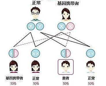 有一種病,叫做蠶豆病——g6pd缺乏症瞭解一下!_紅細胞_遺傳性_新生兒