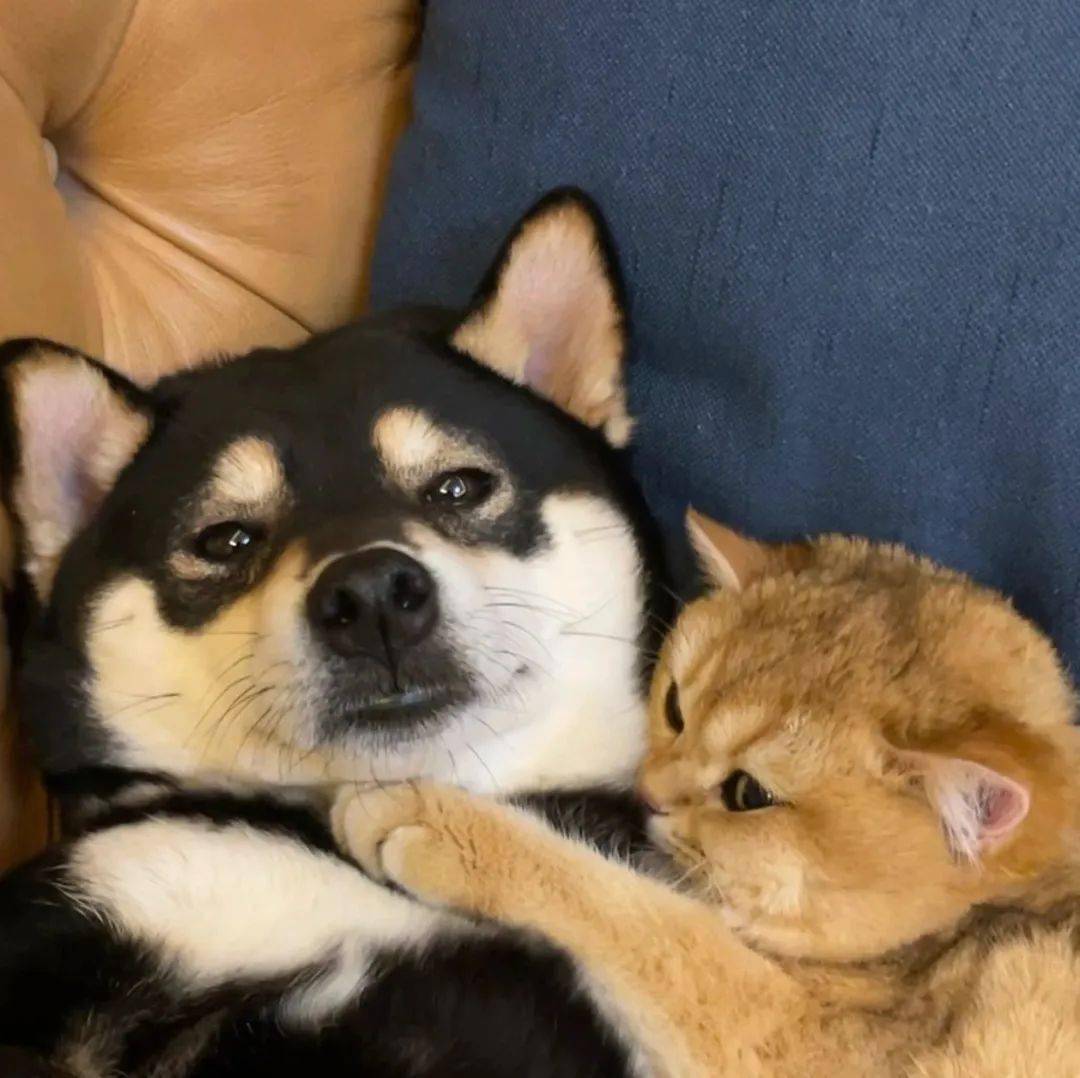 情头丨充满自信,不要弯腰驼背_cr_版权_整理