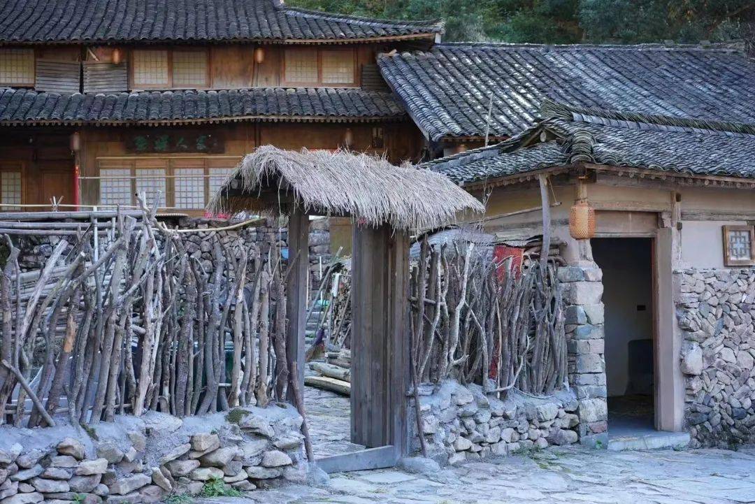 又一剧组来长寿之乡浙江永嘉这个村拍片_古村_田耕_村里