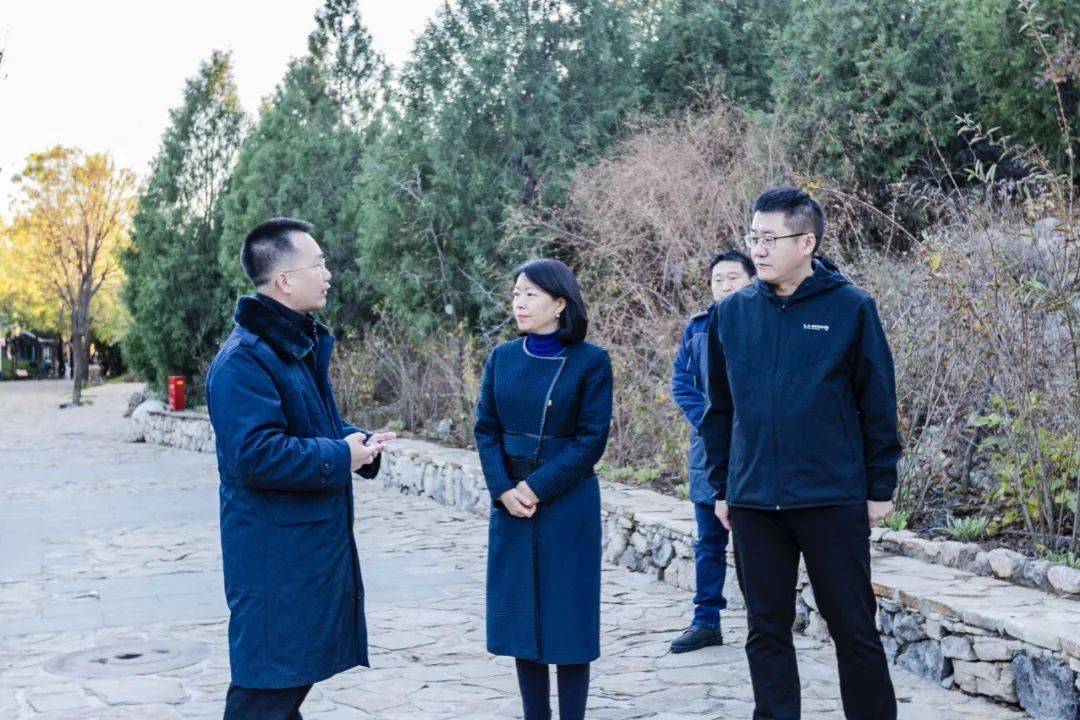 区委常委,区纪委书记,区监委副主任,代理主任马红萍带队到龙湾屯镇