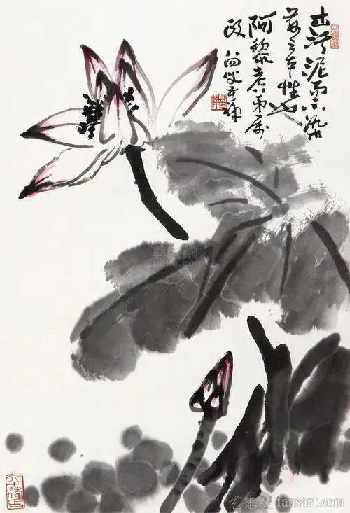 李苦禅花鸟画，树立了大写意花鸟画的新风范。_搜狐网