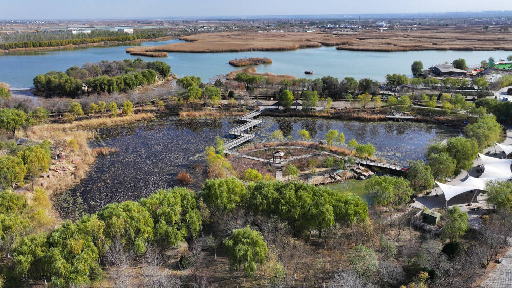 初冬湿地美如画_鸣翠湖_国家_公园
