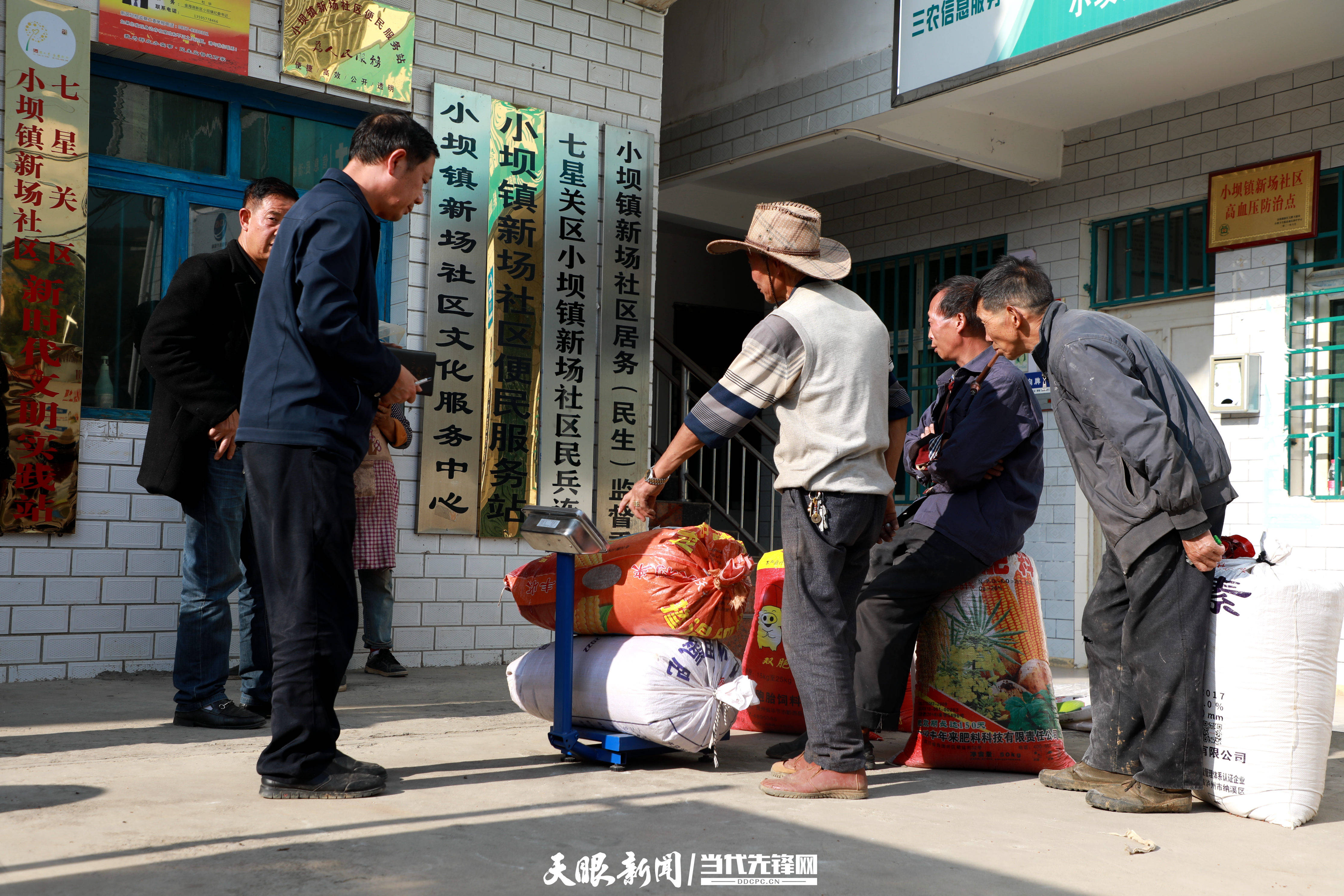 七星关区小坝镇:念好"产业经 走稳致富路_种植_群众_生产