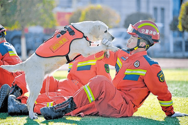 训导员与消防搜救犬配合训练_救援_银川_宁夏
