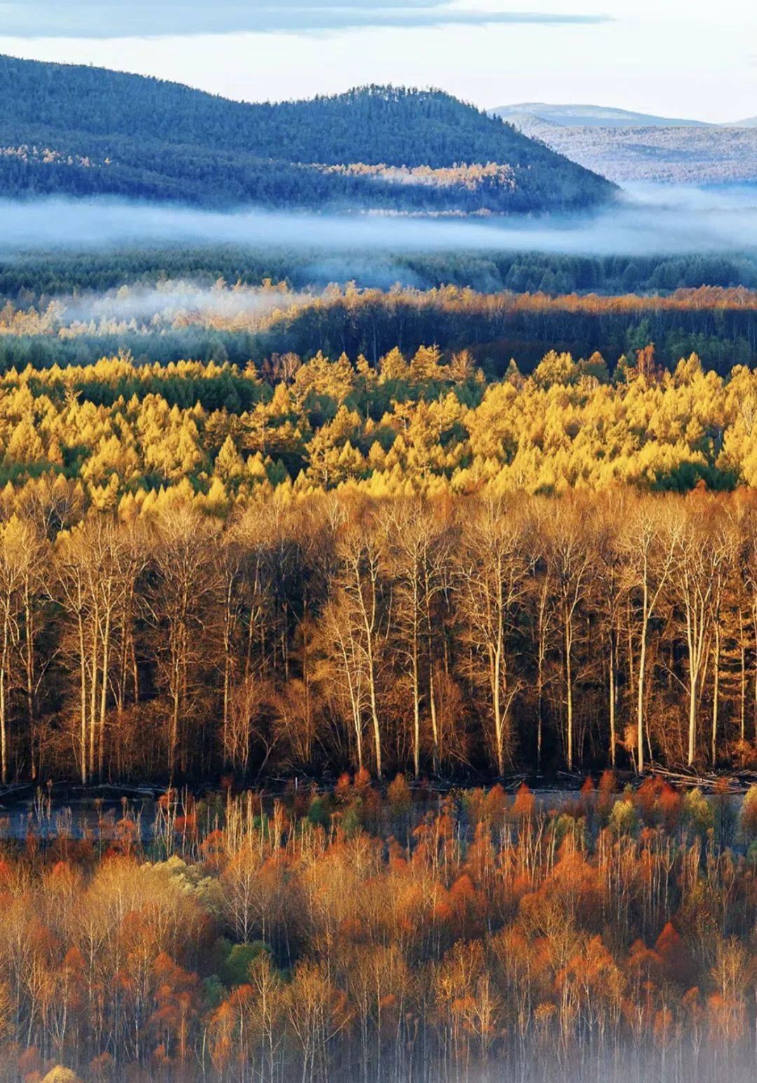 去小城伊春,看中国林都最惊艳人间的秋天_森林_北国_公路