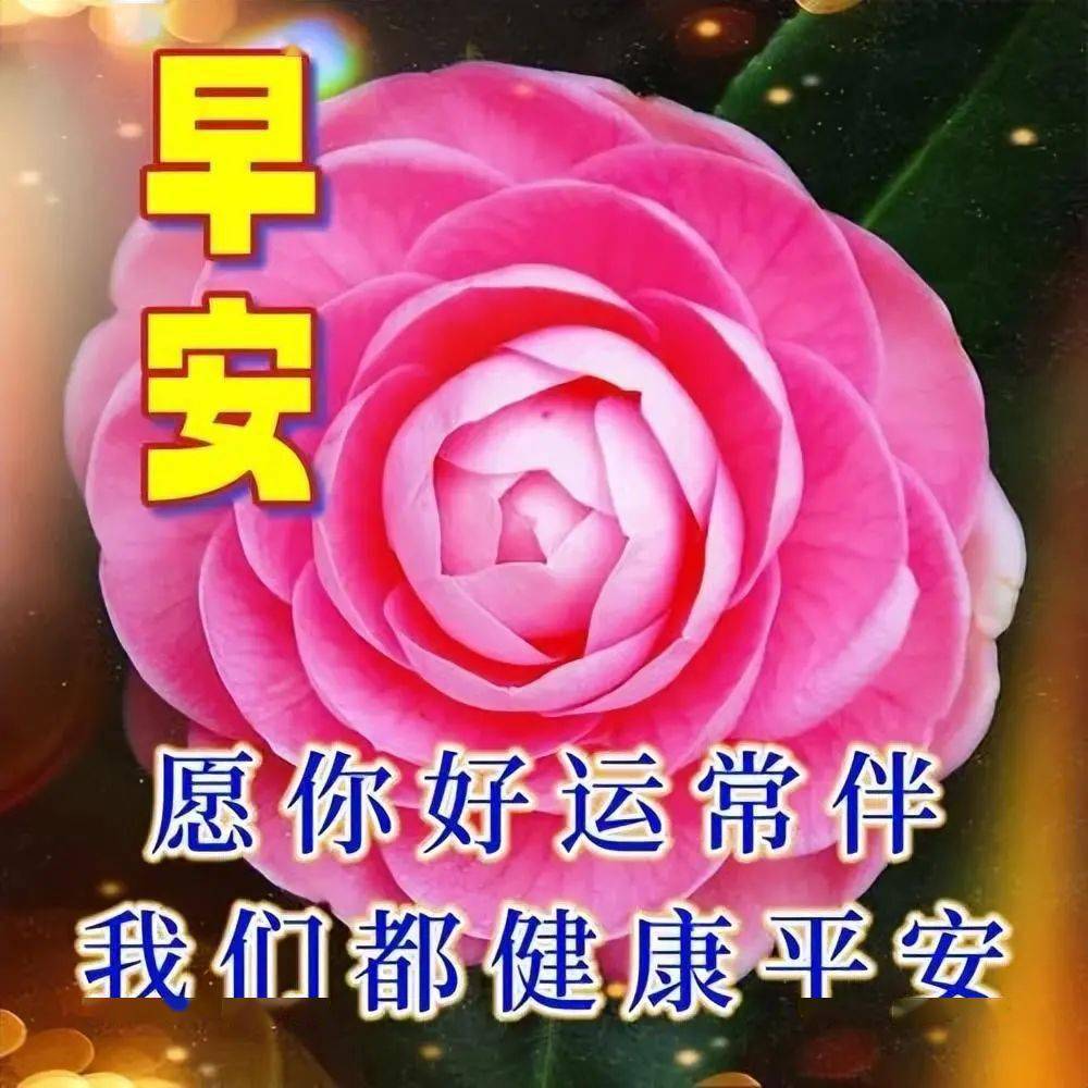 11月13日早上好問候祝福圖片精選,新的一天,新的問候:早安吉祥!