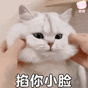 萌宠动态表情包