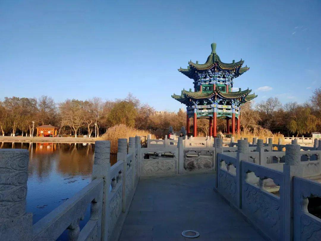 【金昌】初冬的一抹色彩——金川公园_芦苇_树木_田红娟