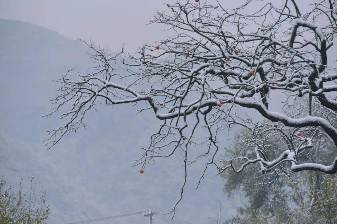九峰山:初雪已至,冰挂可期!_门票_孟诜_雪花