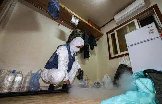 巴黎嗜血臭虫已到亚洲!