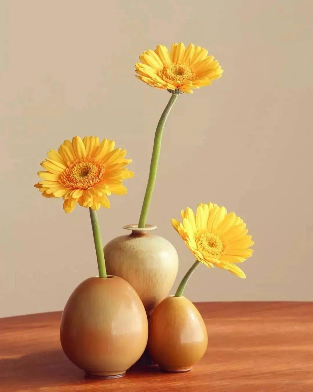 淡泊名利,才能拥有快乐人生_生活_公众_因为