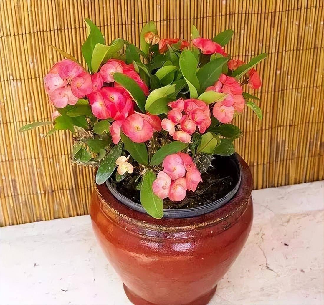 环境_光线_土壤