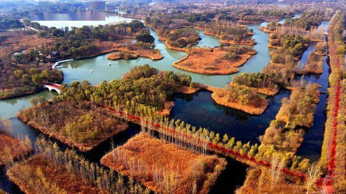 济南初冬湿地美如画_公园_山东省_名录
