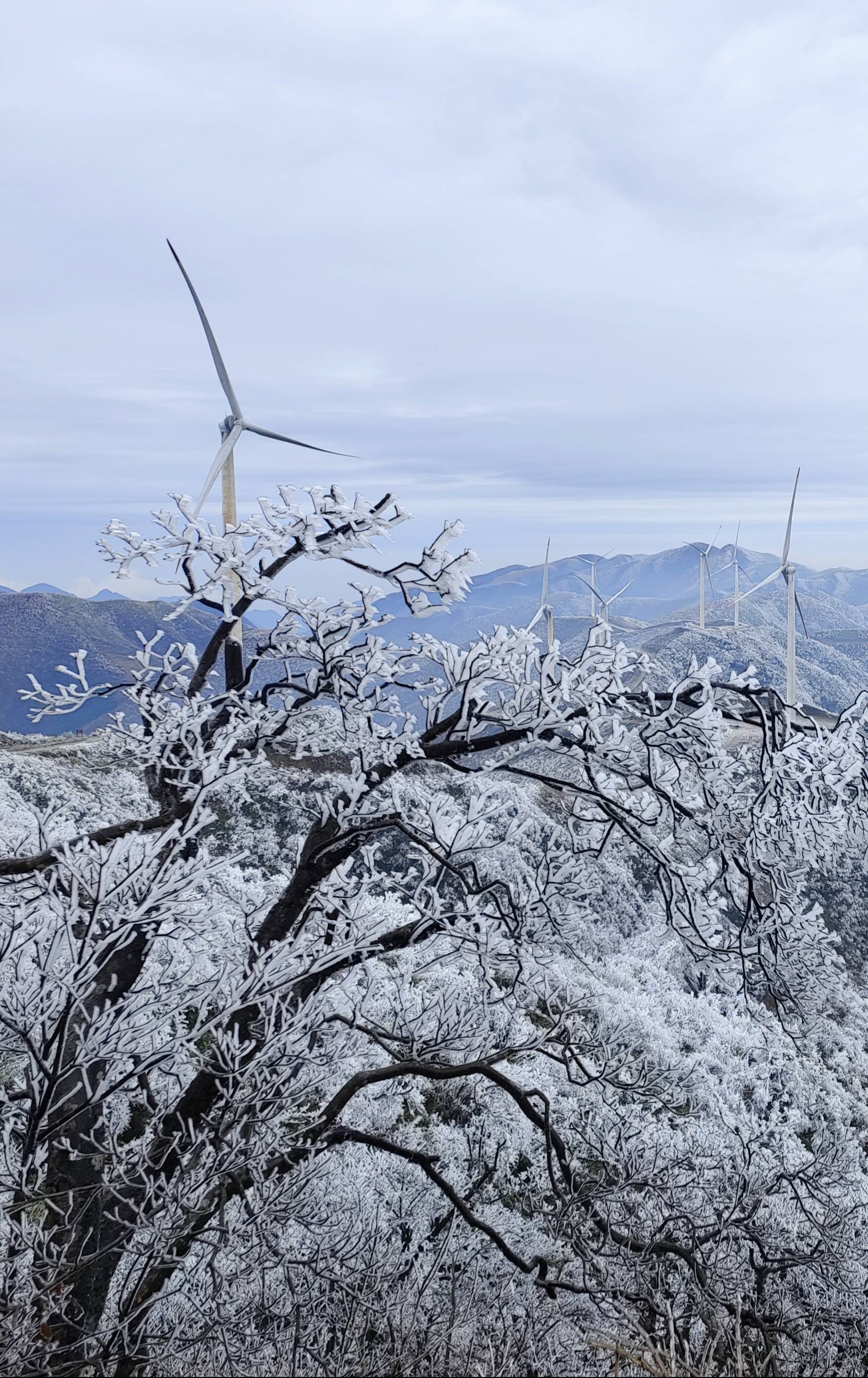 这个冬天湖南会比往年更冷吗?气候趋势预测来了!