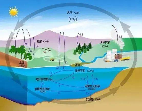 大气圈水圈生物圈图解图片