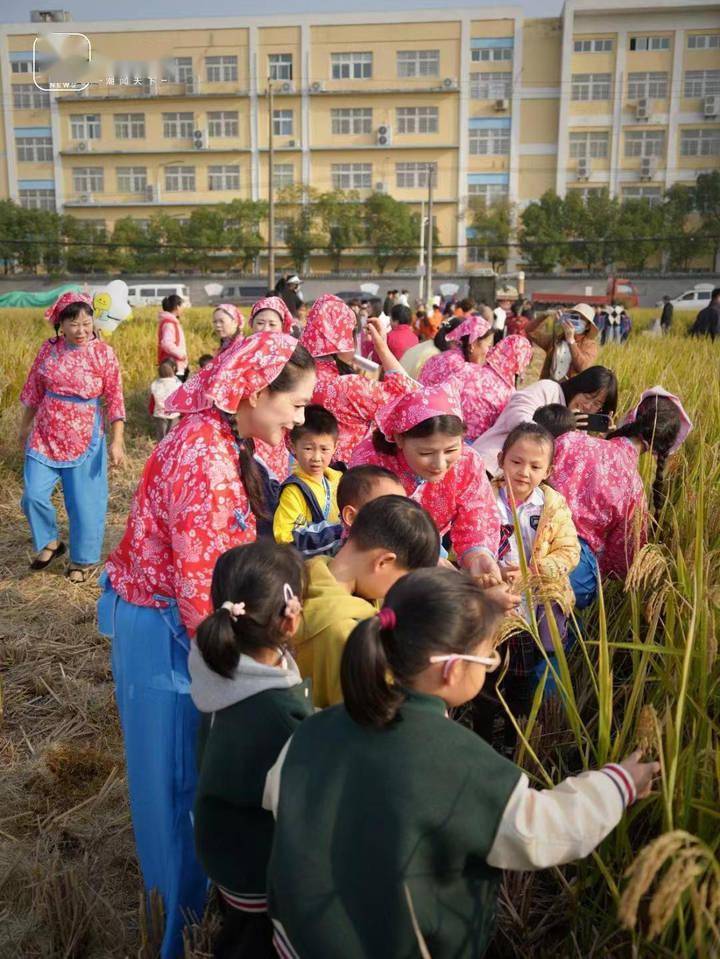 寧波北侖首個兒童友好農耕實踐基地授牌成立_小港_北侖區_鄉村