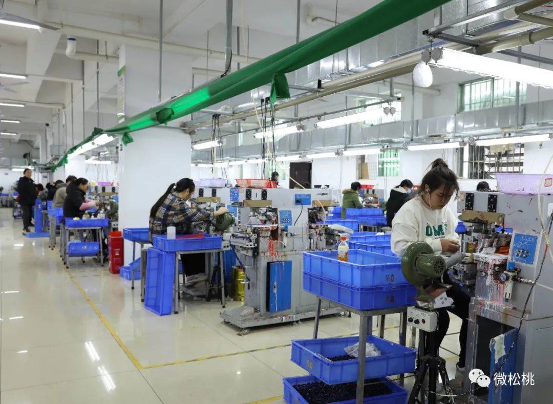 正大镇微工厂:家门口就业促增收_生产_玩具_乡村