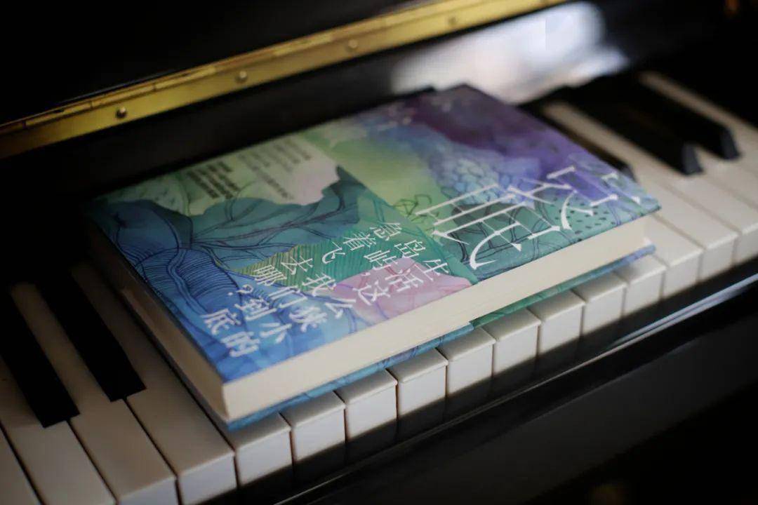 张怡微:过去伫足不去,未来不来,拿什么建立自我的坐标_中篇小说_生活