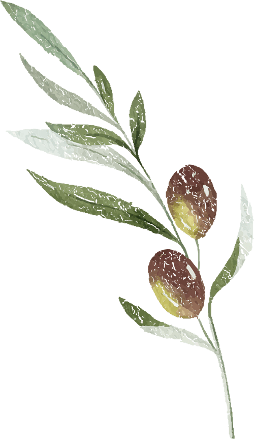 他一生写过很多戏曲,也设计营造过许多的园林,伊园,半亩园,芥子园,层