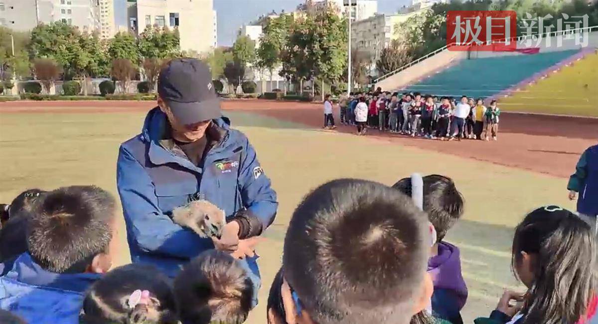 神奇動物進校園,武野科普小分隊來到武漢蔡甸六小_活動_赤猴_保護