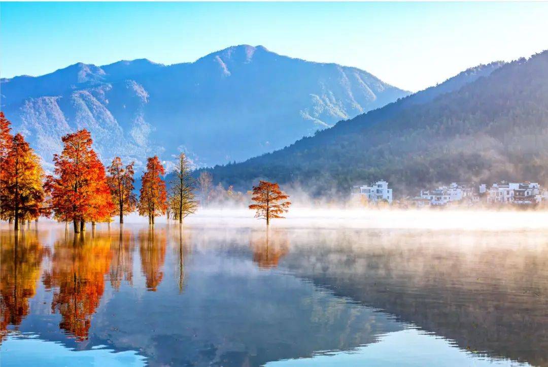 知识视界 | 秋野有趣事_喜马拉雅_企鹅_花栗鼠