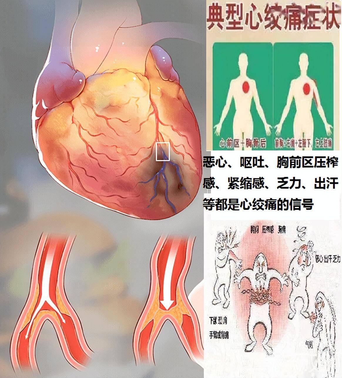 医科宏心