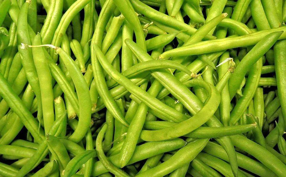 "green bean"别翻译成"绿豆",你还在搞错吗?_in_been_the