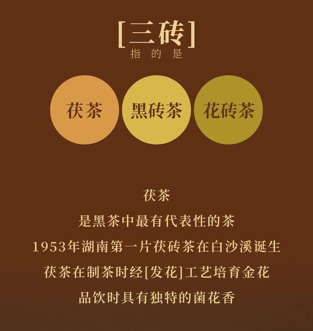 2热忱欢迎广大茶友投稿投稿请发至admin@chinadarktea