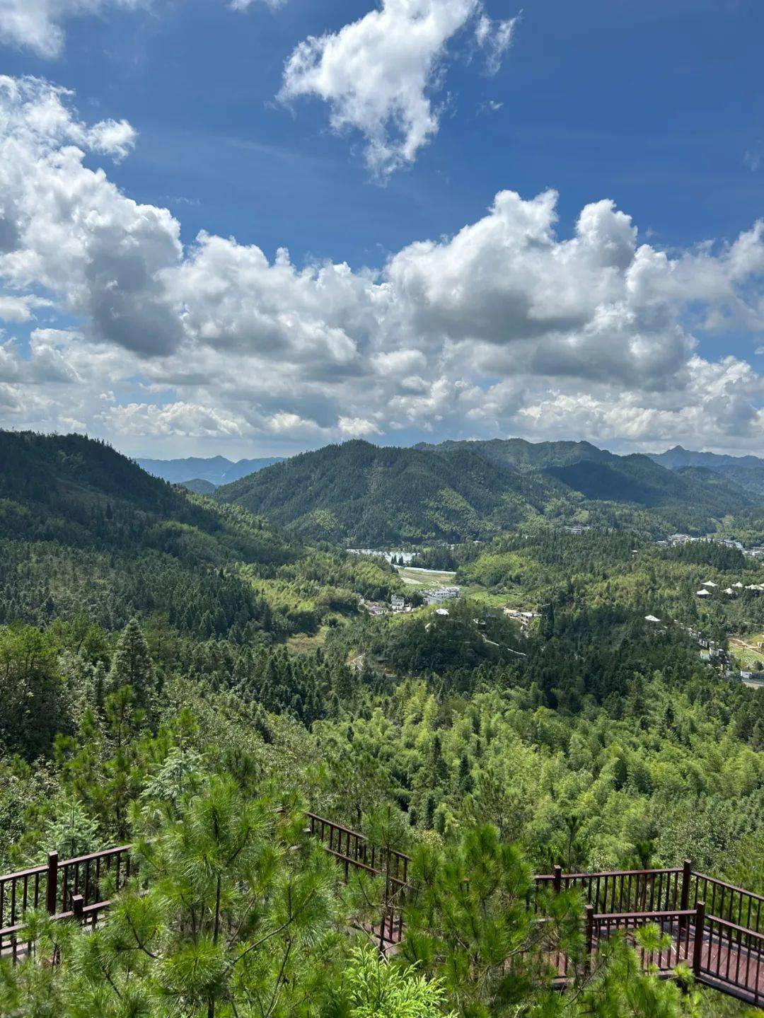 郴州桂东:这个湖南夏天最凉爽的地方,冬季更绝_候鸟_老代_鸟儿