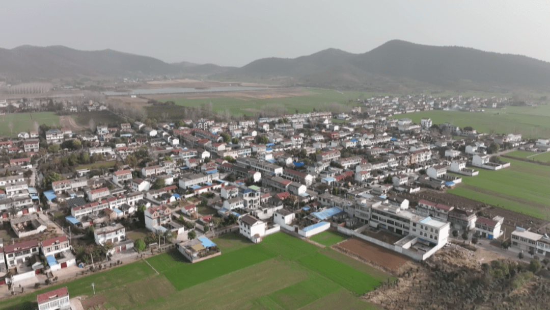 【贯彻落实区委十届五次全会精神】埇桥区:建设宜居宜业和美乡村_镇头