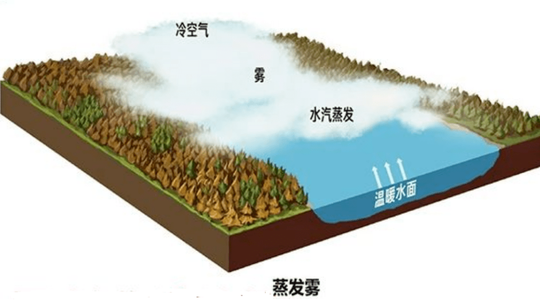 四、上坡雾 成因：潮湿空气沿山坡上升冷却，水汽凝结而产生的雾；举例：在我国青藏高原、云贵高原的东部经