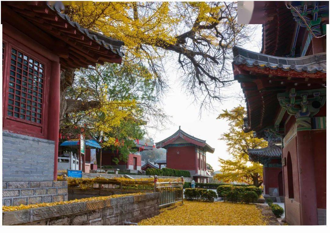 灵泉山的秋色这么美,你可曾缺席?_秋水_石龙_经风历