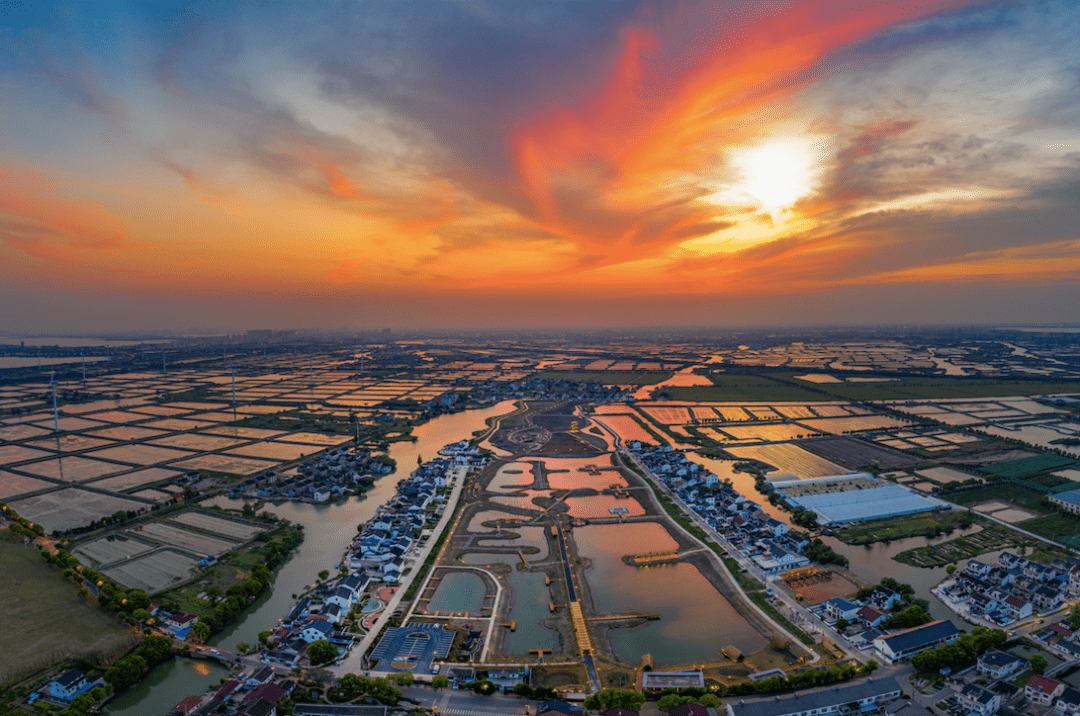 相城入选!_农业_阳澄湖镇_水利