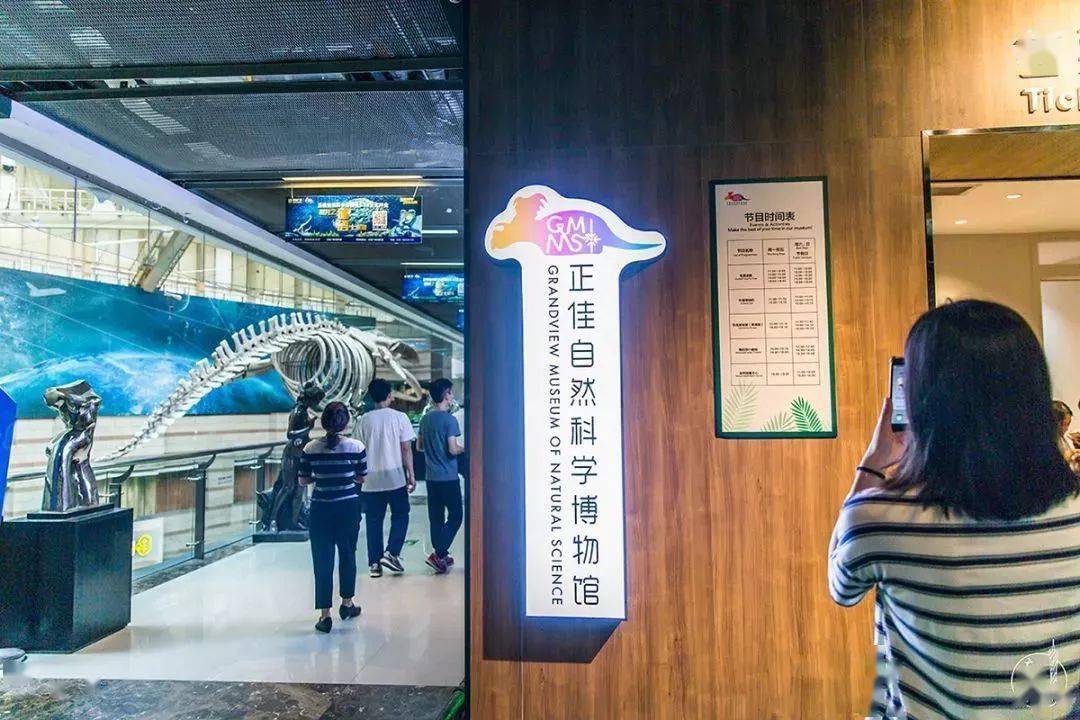 馆内收藏近千件珍稀古生物化石和矿物标本这是广州首座自然科学博物馆