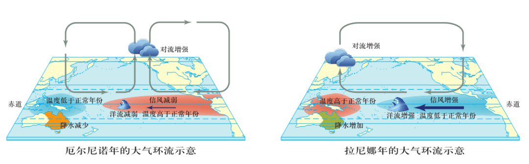 能够生长高大的乔木,形成热带季雨林;热带草原气候降水少,因此主