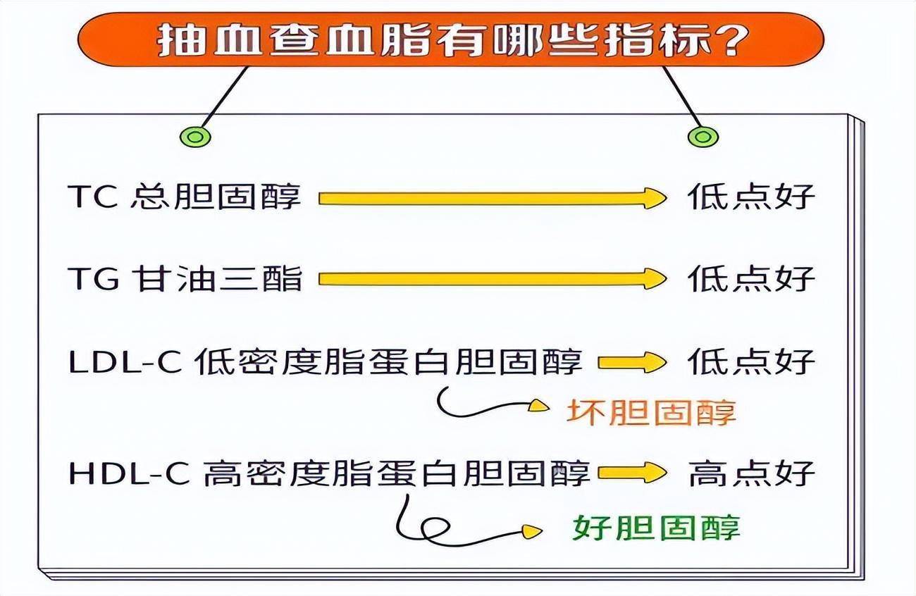 血脂化验,哪几项最主要?