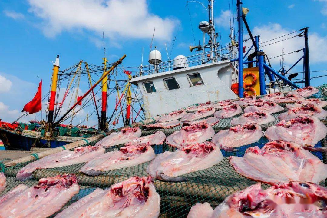 又到嵊泗晒鱼鲞时,金灿灿,红艳艳,轰轰烈烈!_旅游_微信_鳗鱼