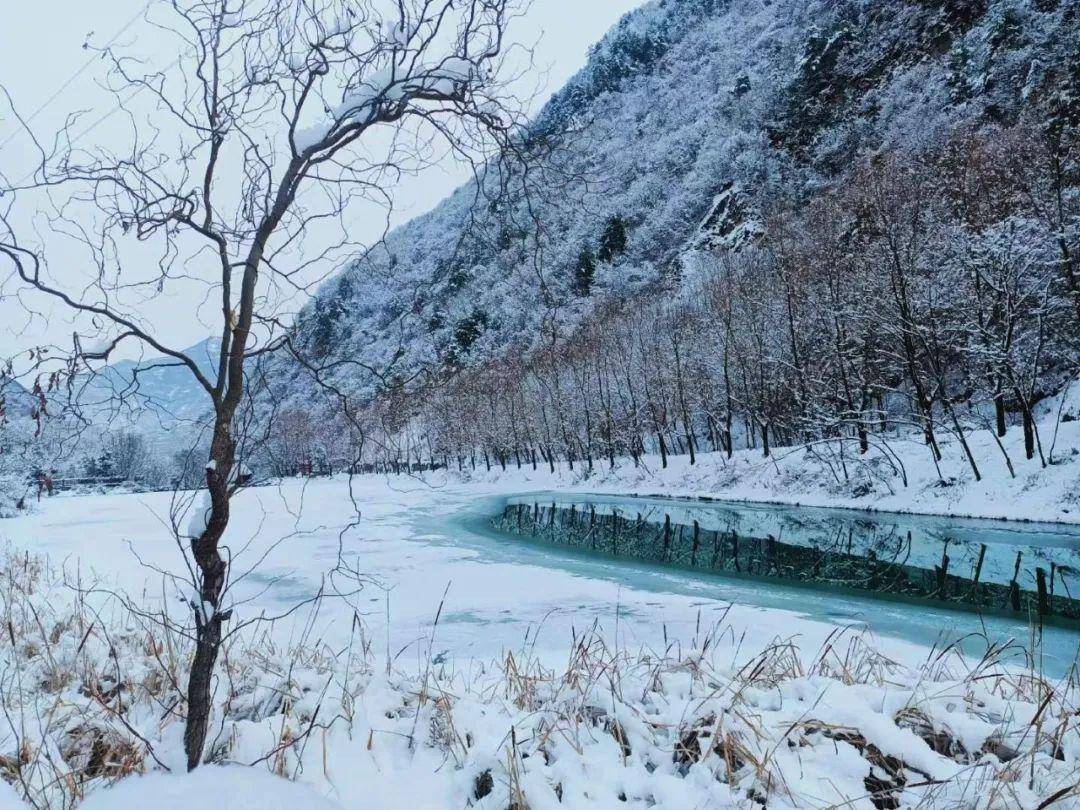 错过了官鹅沟的春夏秋千万别错过银装素裹的冬一起静候美景如约而至吧