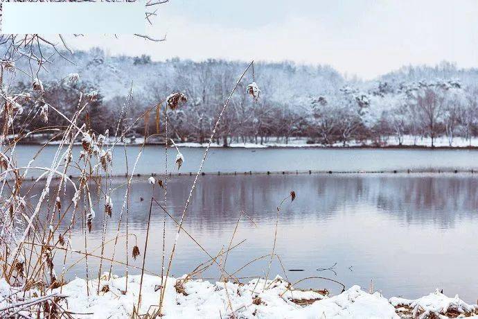 楊萬里《雪凍未解散策郡圃》獨來獨往銀粟地,一行一步玉沙聲.