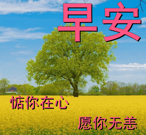 11月22日早上好动态表情图片大全,早晨好动图美图大全_开心_人生_感觉