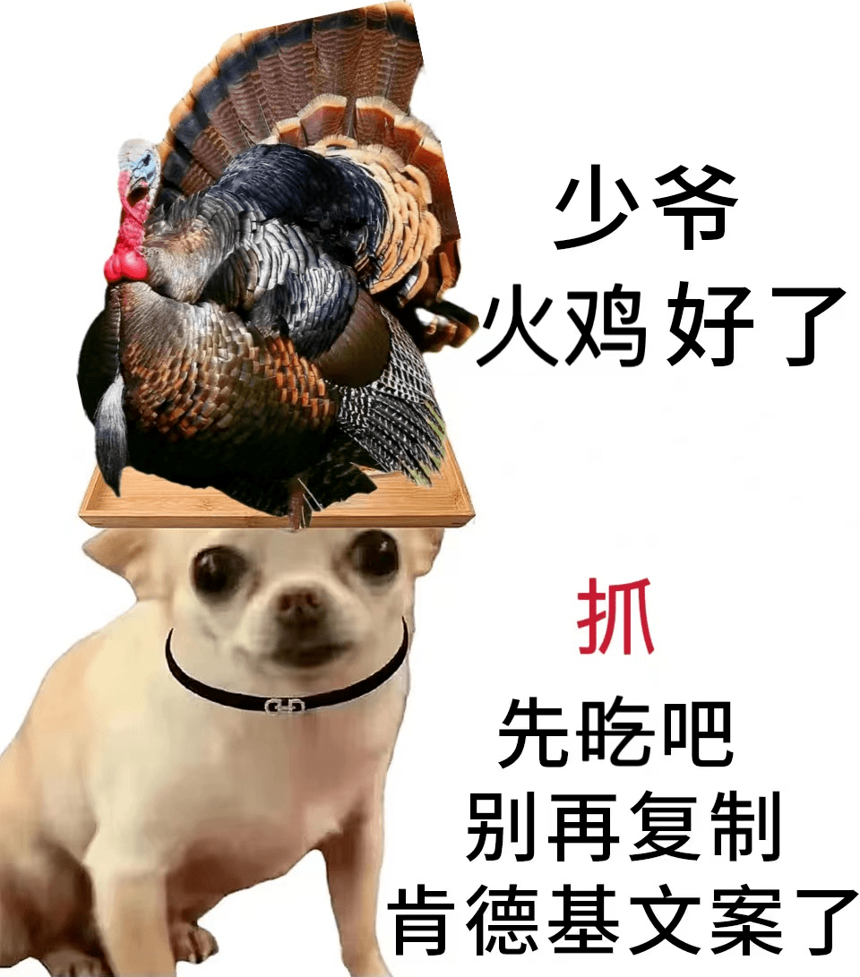 疯狂的不止是星期四，还有汗流浃背的火鸡！疯狂火鸡在行动，抓捕计划就现在！